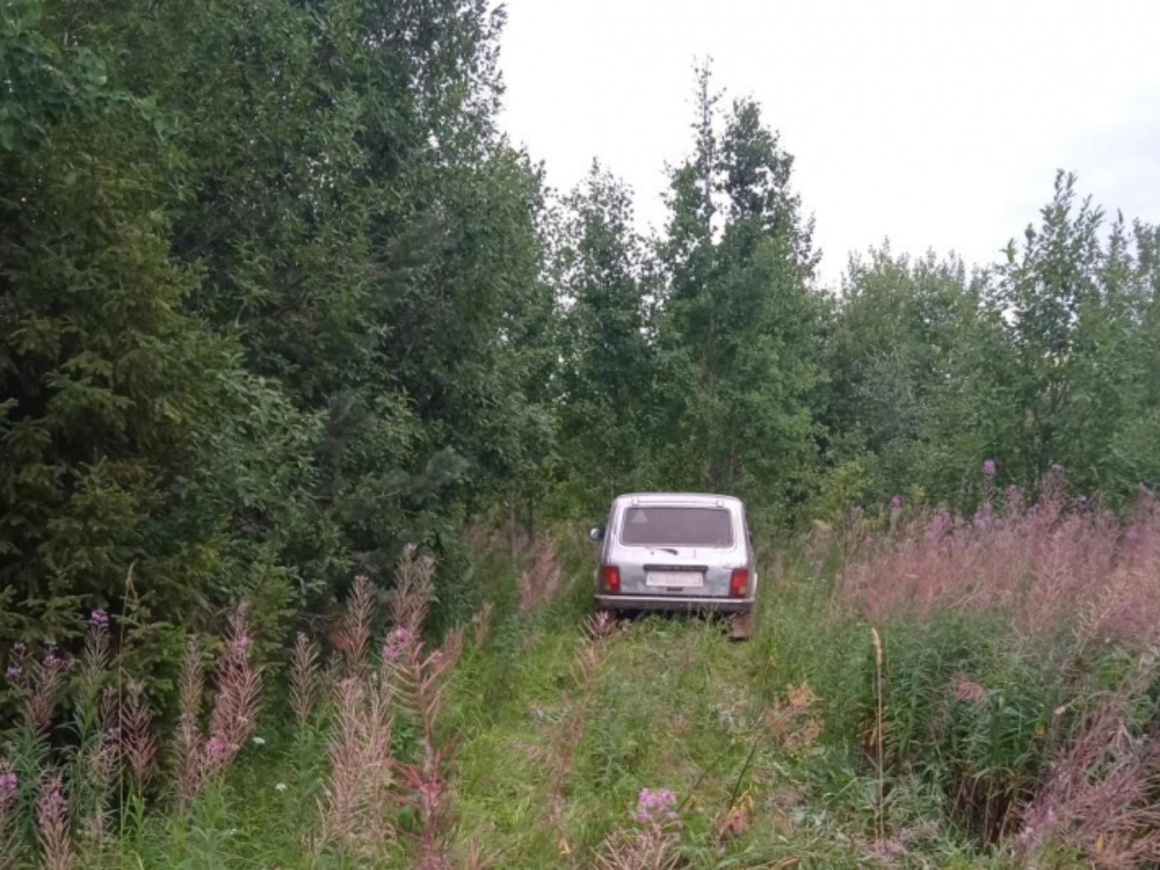 В Лешуконском районе задержали мужчину, угнавшего два автомобиля за одну  ночь